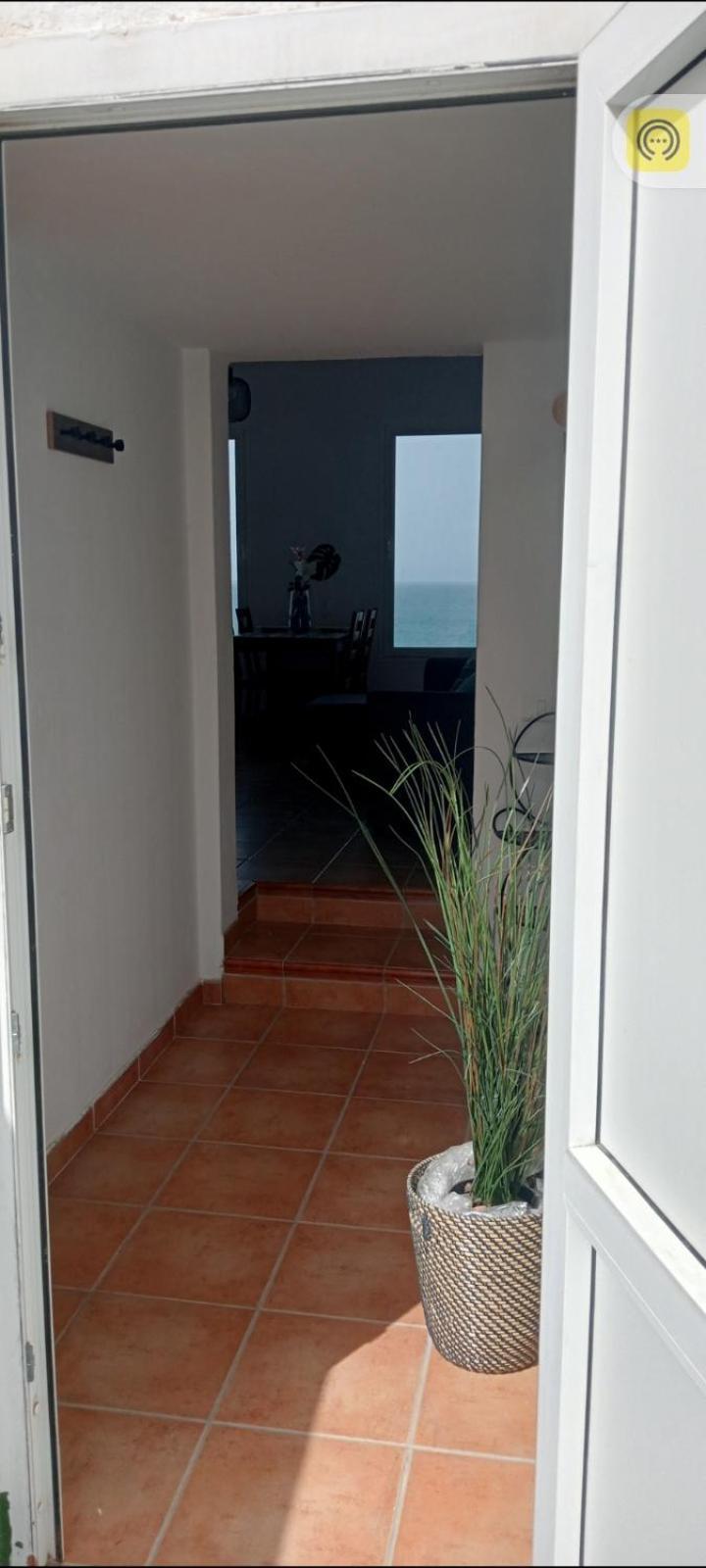 Piso Magico Junto Al Mar Con Gran Terraza Apartman Santa Maria de Guia de Gran Canaria Kültér fotó